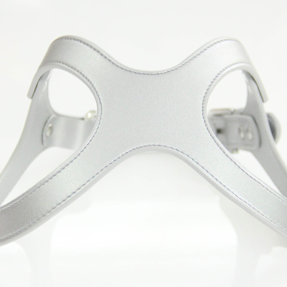 To Beg for Accessories and Treats Premium Vegan Dog Harness Size Medium
